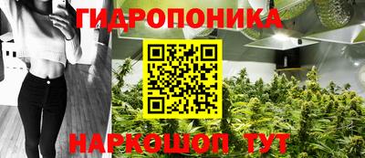 мяу мяу мука Ивантеевка
