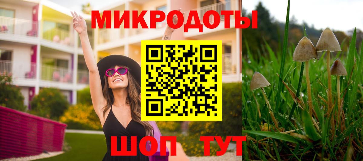 Псилоцибиновые грибы Cubensis Грозный