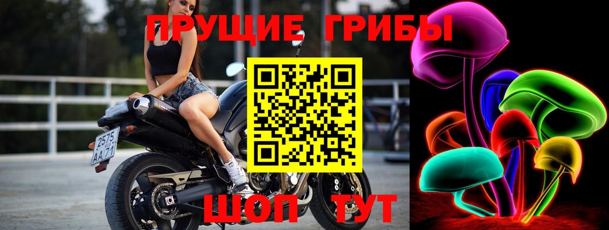 продажа наркотиков  Галлюциногенные грибы MAGIC MUSHROOMS  Вход с VPN  Грозный 